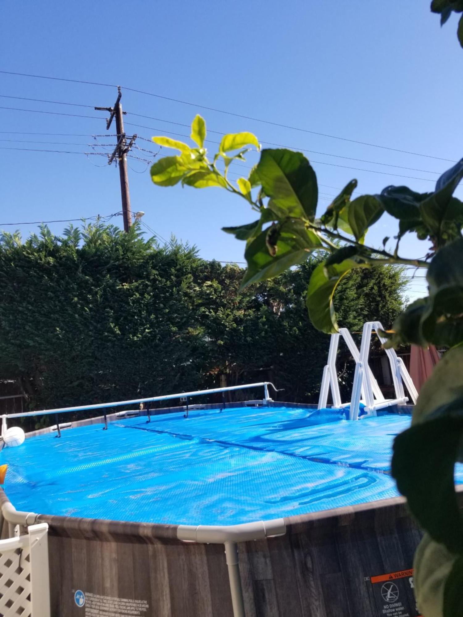 Studio In Southbay Close To The Beach Sofi Stadium Lax Lawndale Exteriör bild