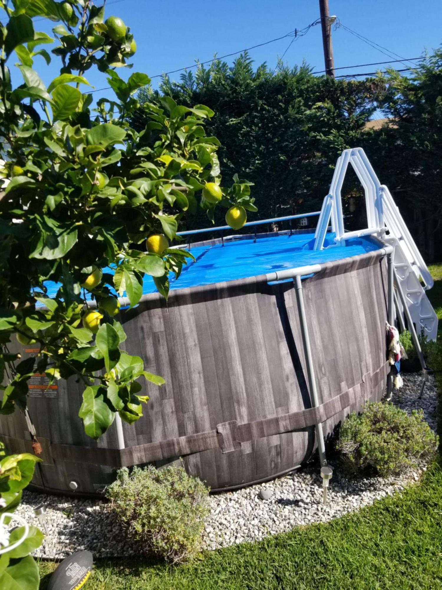 Studio In Southbay Close To The Beach Sofi Stadium Lax Lawndale Exteriör bild